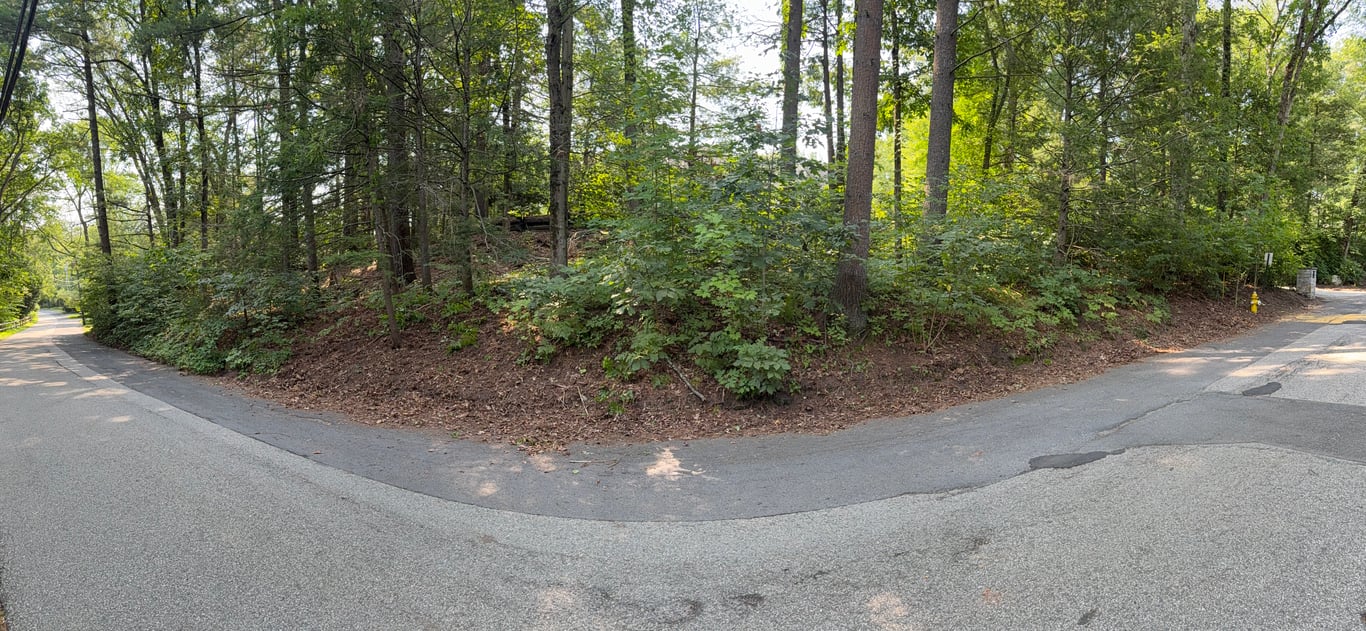 Corner lot after clearing, showing bare ground and a stone wall with no vines